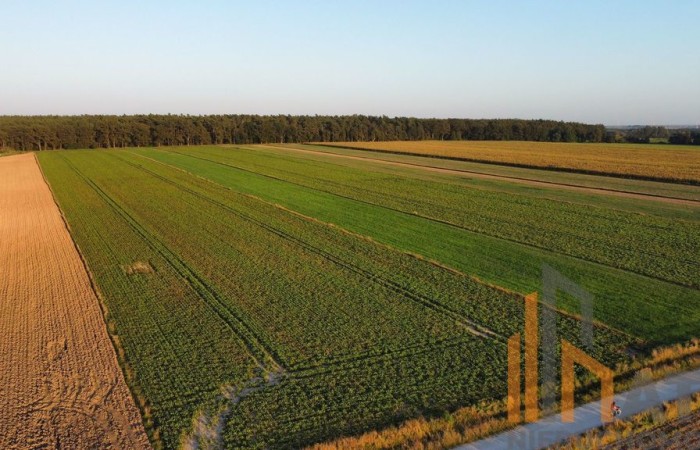 Dolnośląskie, Trzebnicki, Działka na sprzedaż