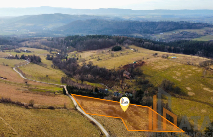 Dolnośląskie, Kłodzki, Działka na sprzedaż